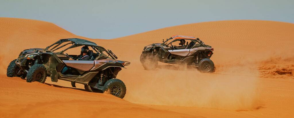 Types of store dune buggies