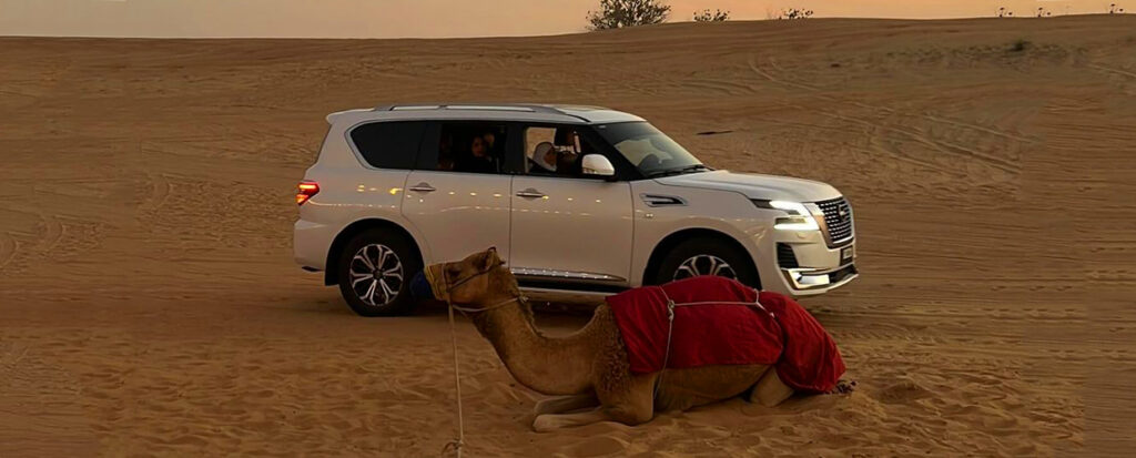 What to Expect on the VIP Desert Safari Dubai Tour?